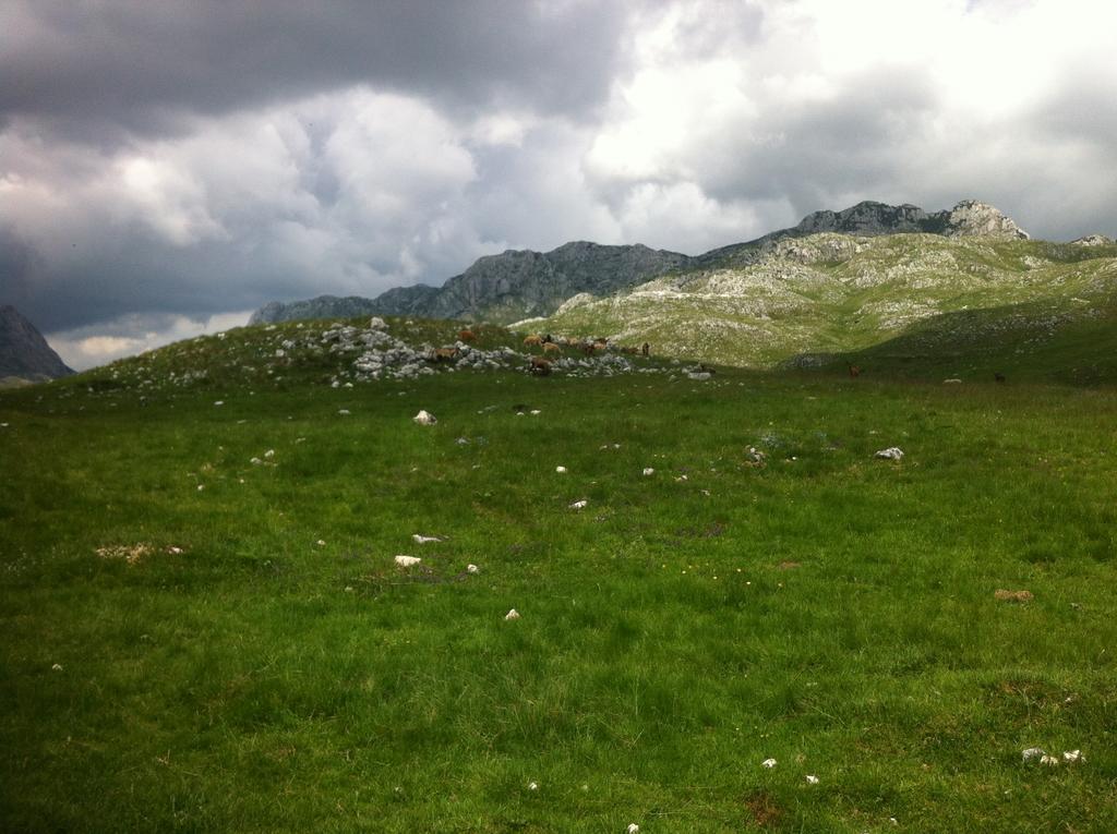 Boskovica Brvnare Pensionat Žabljak Exteriör bild
