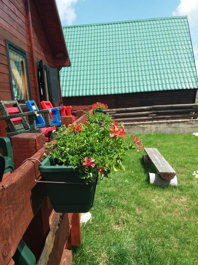 Boskovica Brvnare Pensionat Žabljak Exteriör bild