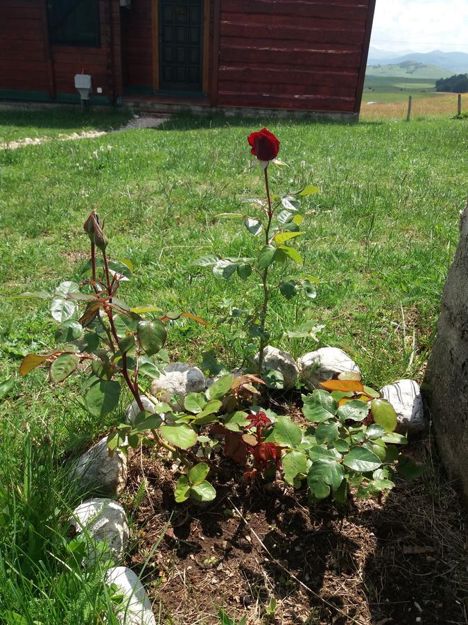Boskovica Brvnare Pensionat Žabljak Exteriör bild
